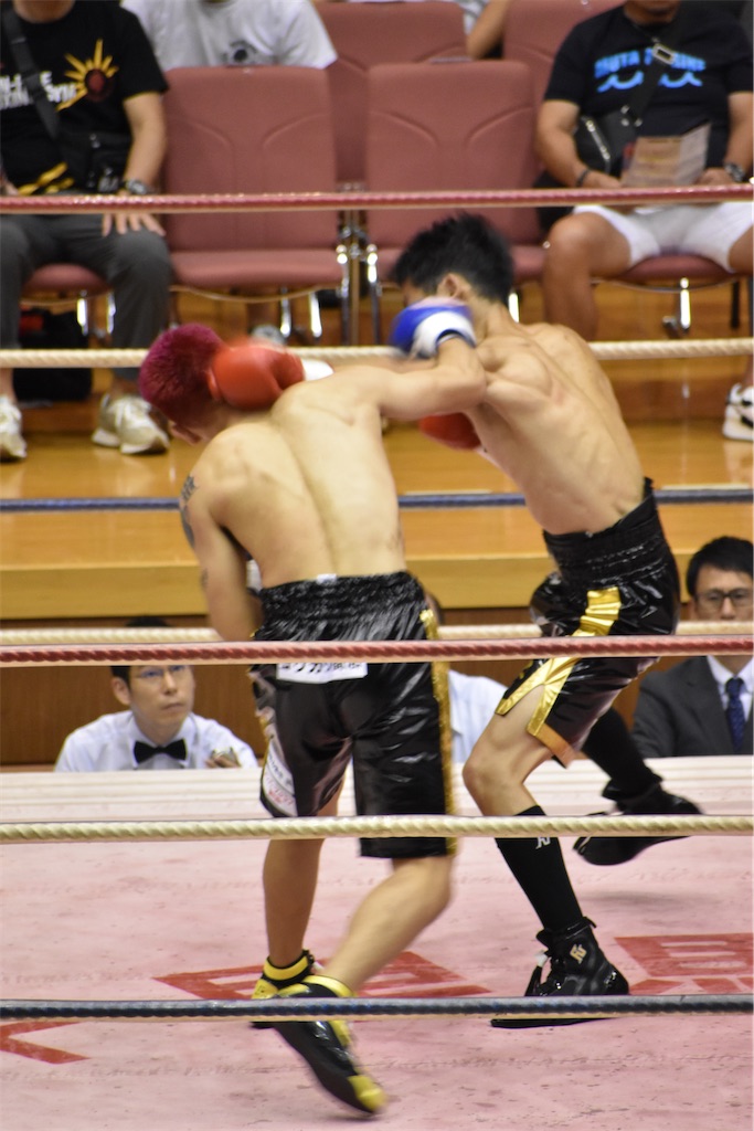f:id:minagart:20230817201933j:image