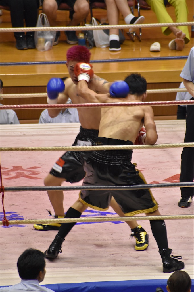 f:id:minagart:20230817202156j:image