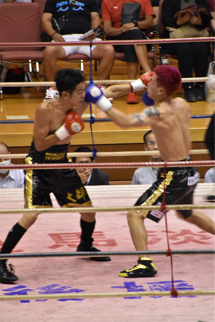 f:id:minagart:20230817202200j:image