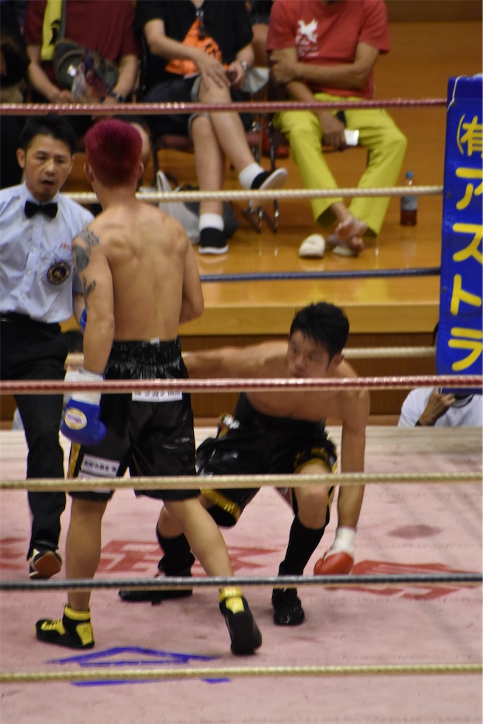 f:id:minagart:20230817202205j:image