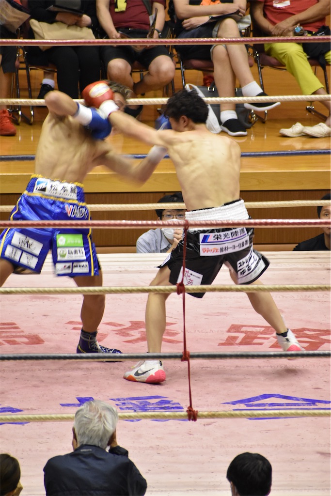 f:id:minagart:20230817212112j:image