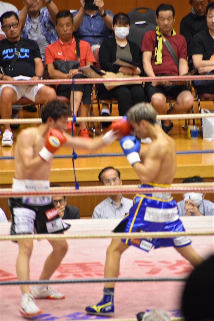 f:id:minagart:20230817212132j:image