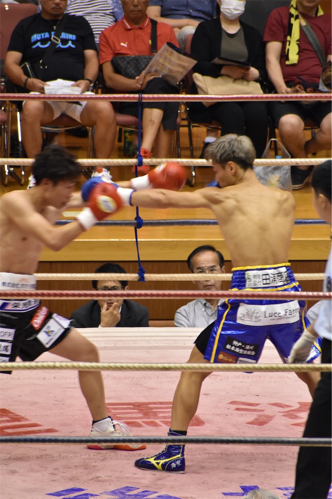 f:id:minagart:20230817212140j:image