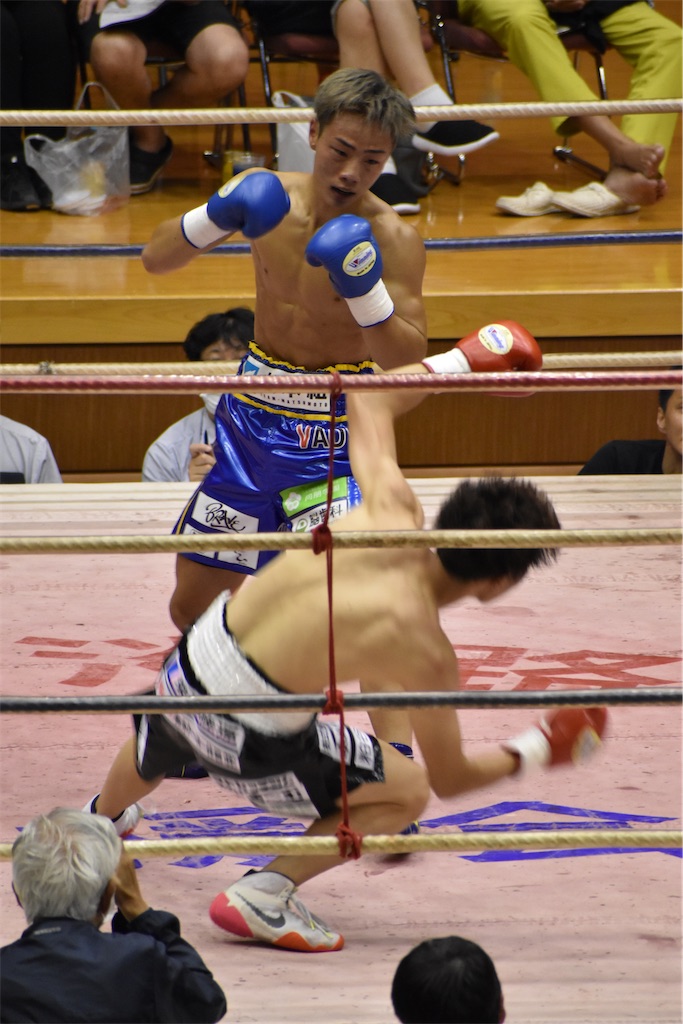 f:id:minagart:20230817212323j:image