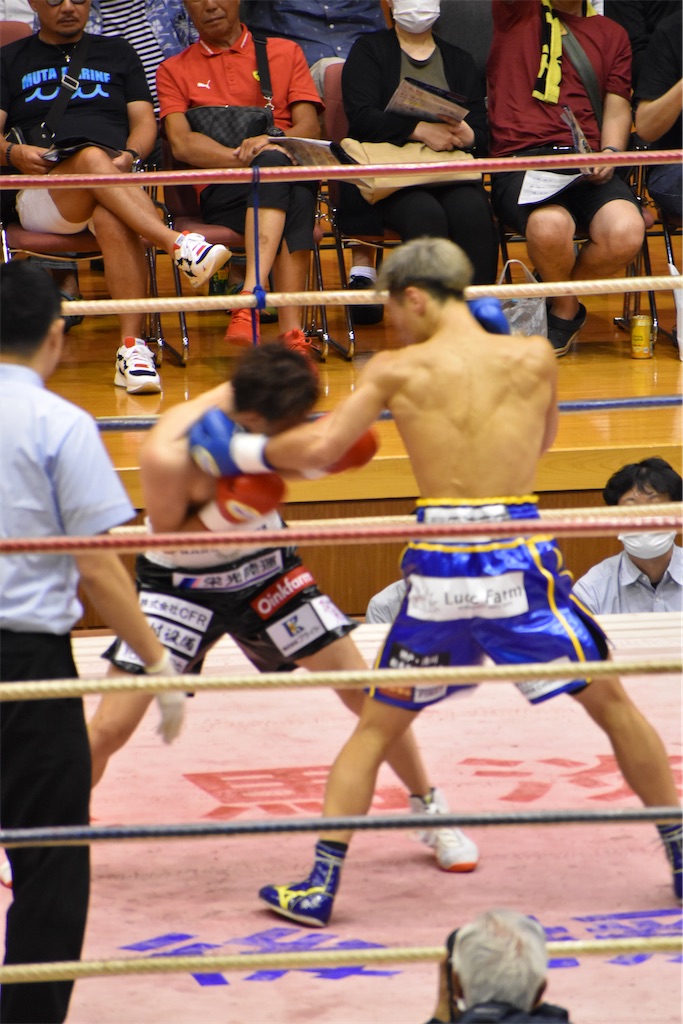 f:id:minagart:20230817212331j:image