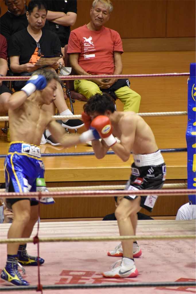 f:id:minagart:20230817212422j:image