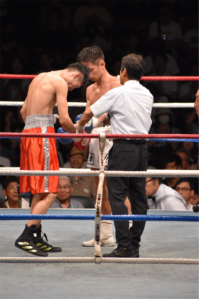 f:id:minagart:20230915214721j:image