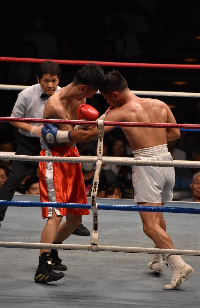 f:id:minagart:20230915214735j:image