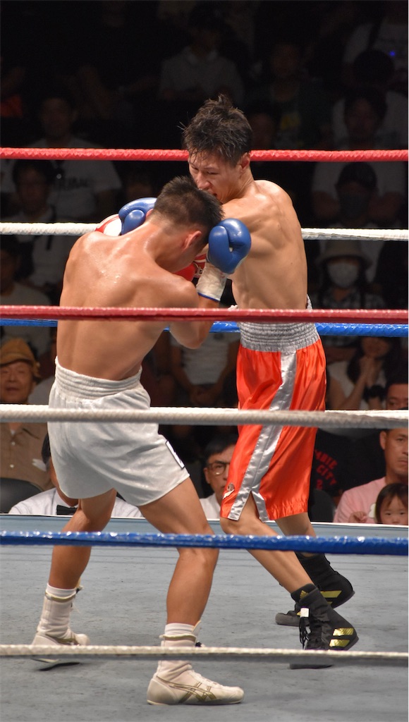 f:id:minagart:20230915214738j:image