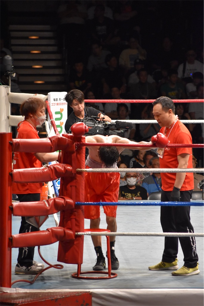 f:id:minagart:20230915214809j:image