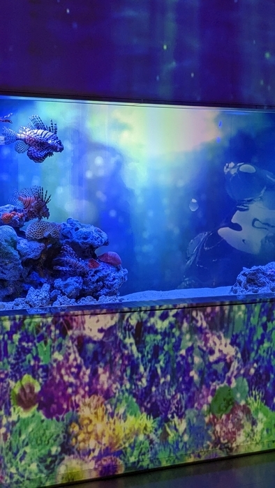 水族館