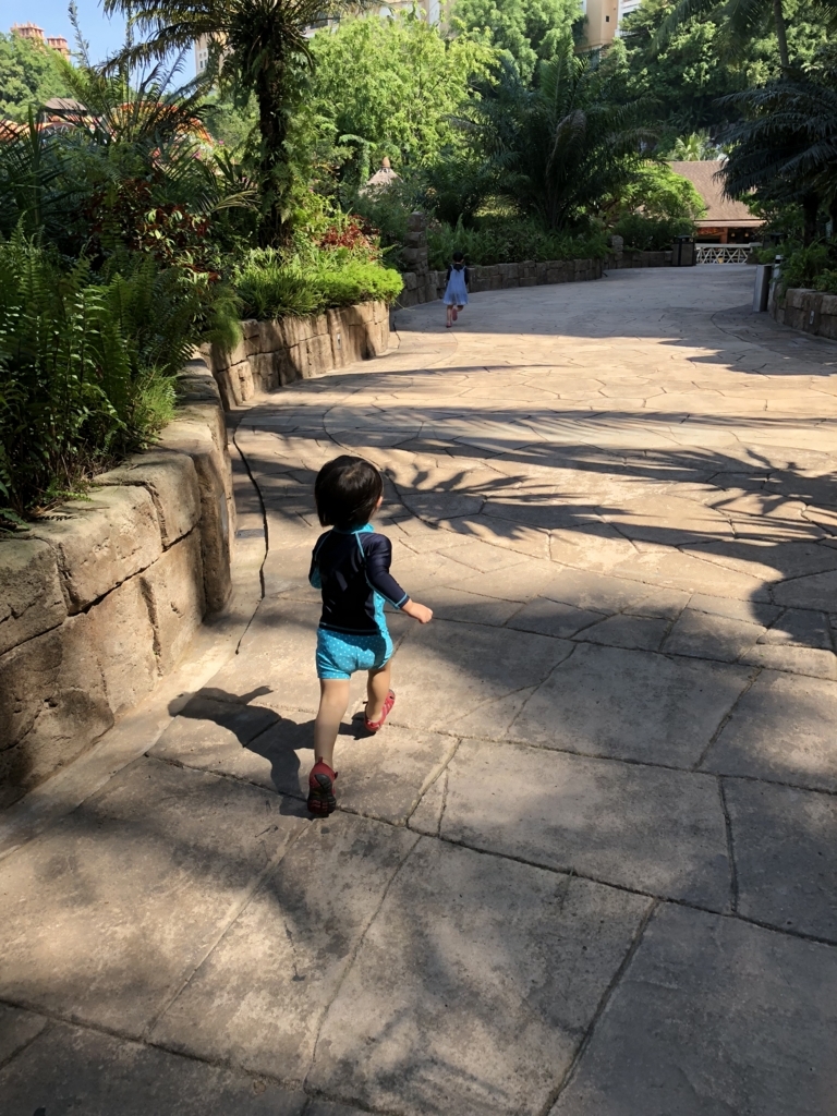f:id:minakiti99:20180519232847j:plain f:id:minakiti99:20180519232847j:plain