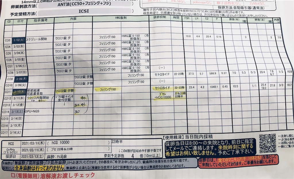 3回目の採卵周期 通院 現在43歳 体外受精挑戦中 採卵 結果待ち