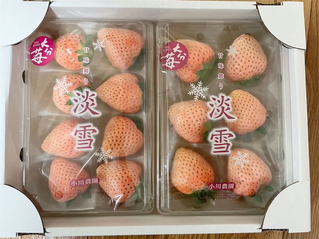 f:id:minakom:20220223174537j:image f:id:minakom:20220223174537j:image