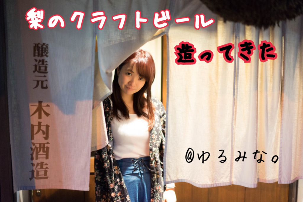 f:id:minamaru-0411:20171112150720j:plain