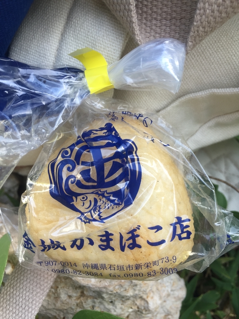 f:id:minami-saya:20190202024936j:plain f:id:minami-saya:20190202024936j:plain