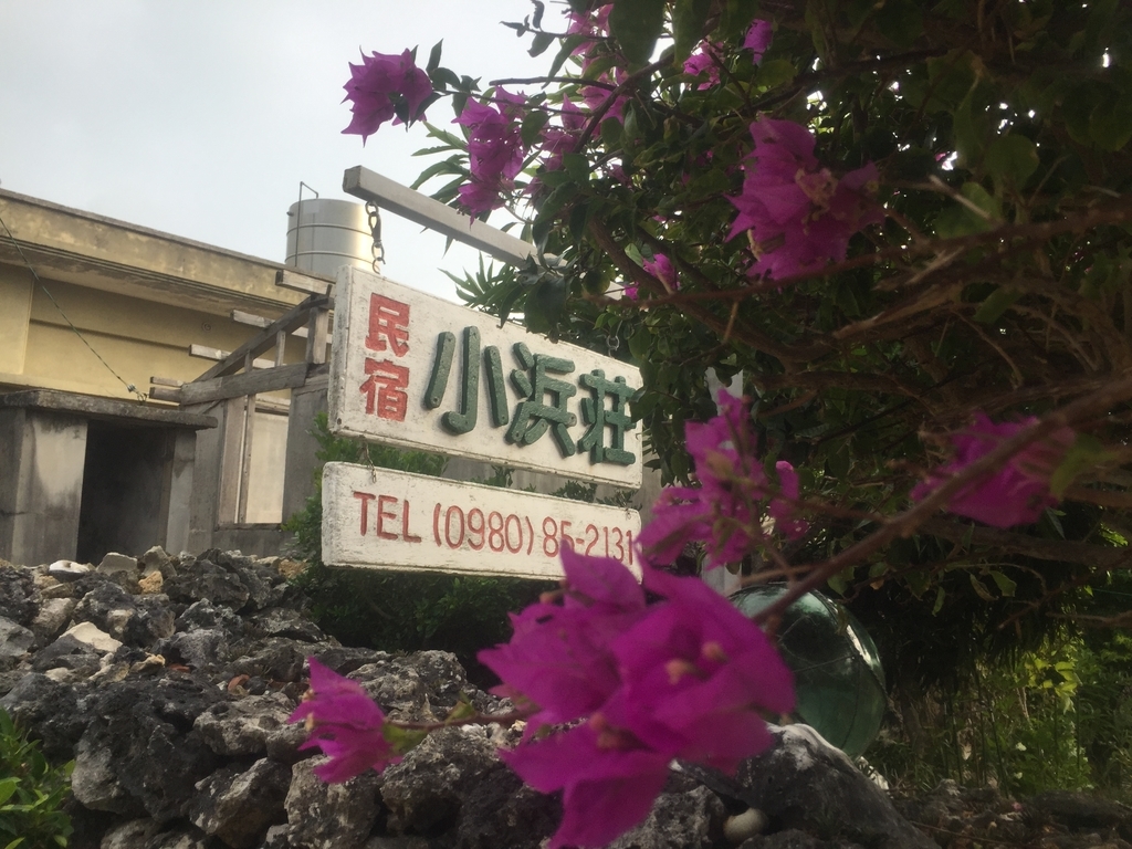 f:id:minami-saya:20190202032307j:plain f:id:minami-saya:20190202032307j:plain