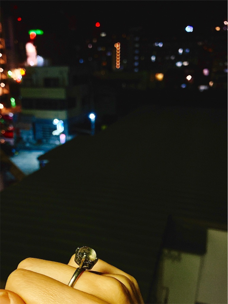 f:id:minami-saya:20190210233405j:image f:id:minami-saya:20190210233405j:image