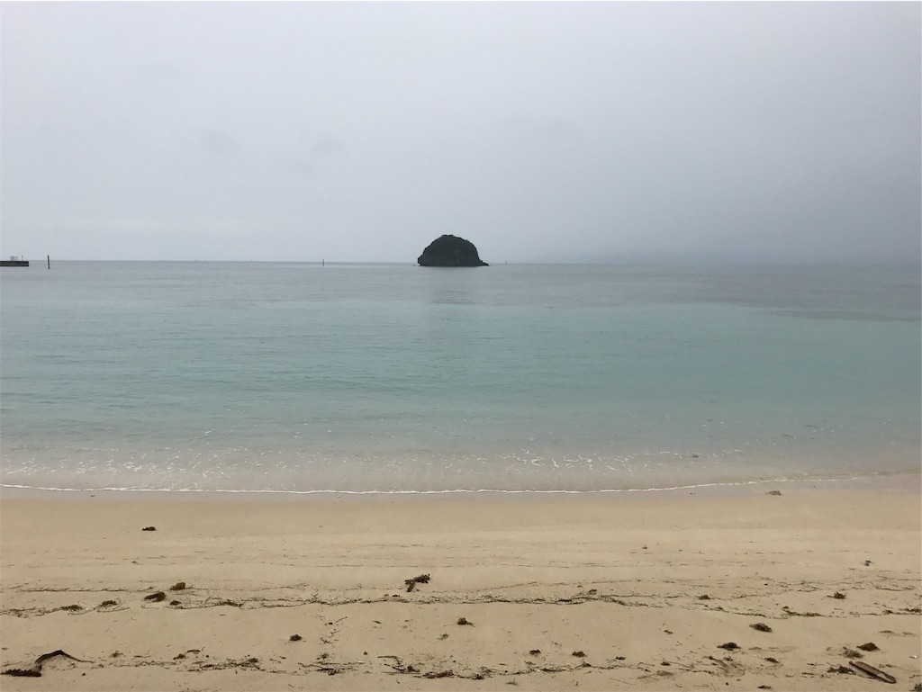 f:id:minami-saya:20190219224313j:image f:id:minami-saya:20190219224313j:image