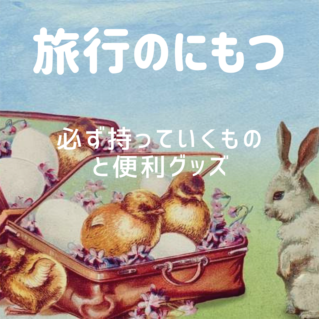 沖縄旅行の持ち物 荷物 リストはこれ もっと旅行が楽しくなる便利グッズも紹介 みなみ風の吹く裏庭で