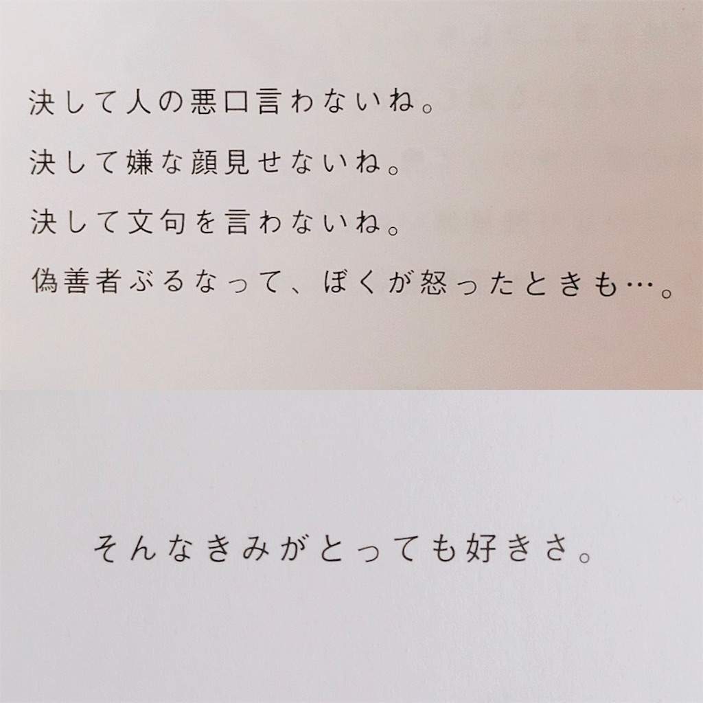 f:id:minami-saya:20190523134600j:image