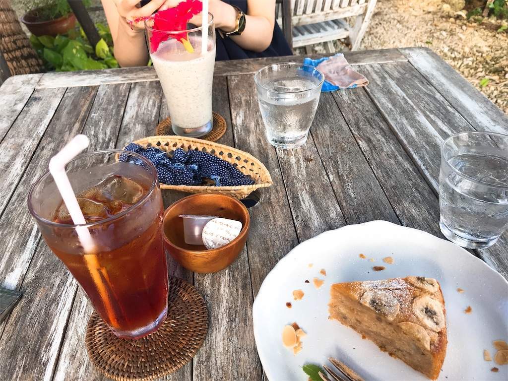 f:id:minami-saya:20190529090648j:image