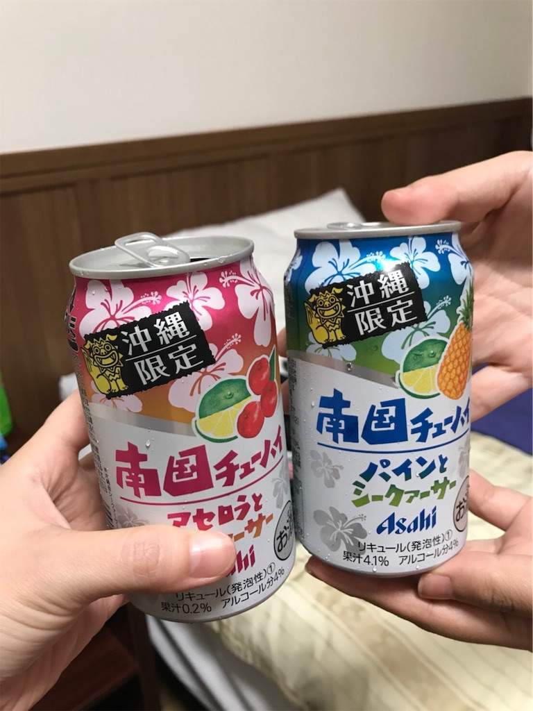 f:id:minami-saya:20190529090724j:image