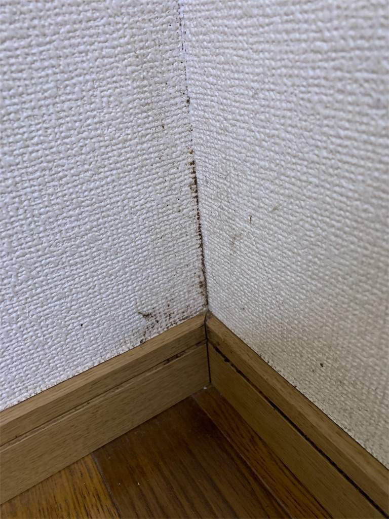 f:id:minami-saya:20191207223050j:image