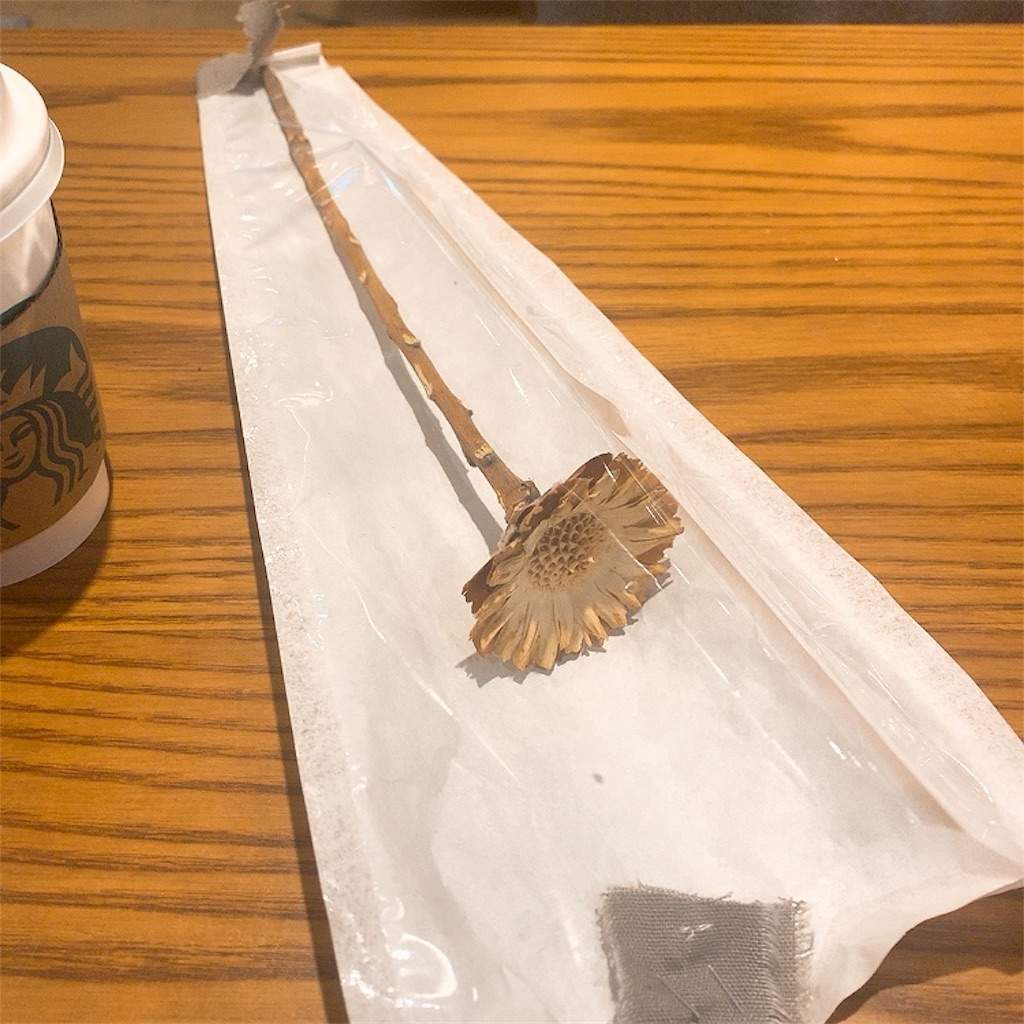 f:id:minami-saya:20200210191110j:image
