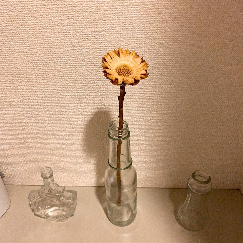 f:id:minami-saya:20200213193753j:image