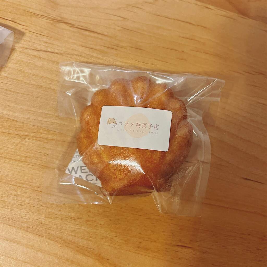f:id:minami-saya:20240908155855j:image