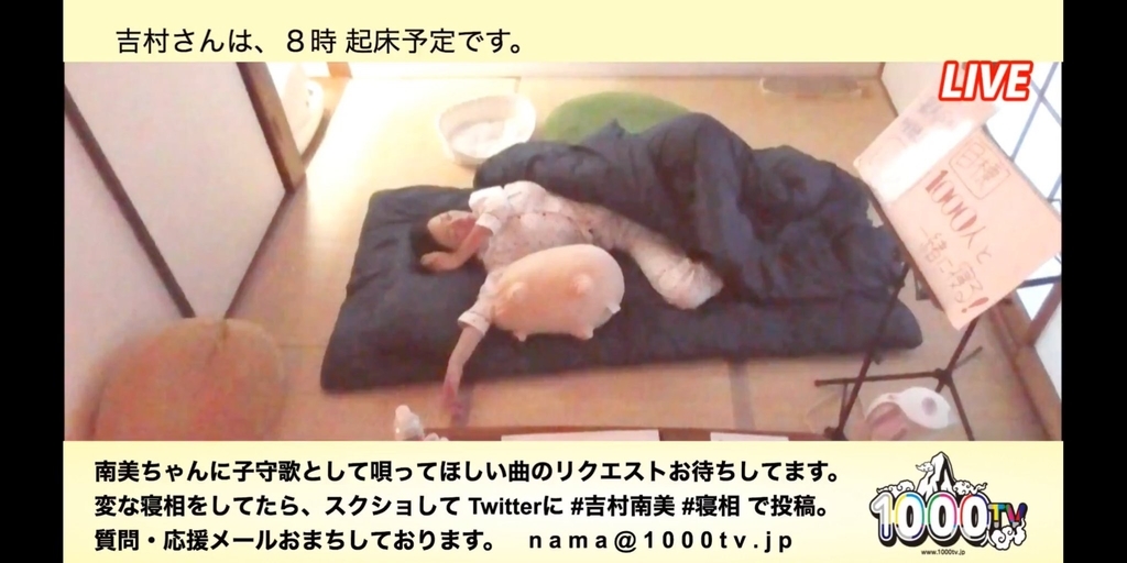f:id:minami8616:20180929234311j:plain