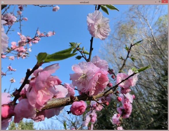 f:id:minami_SC:20140922004205j:plain:w400 f:id:minami_SC:20140922004205j:plain:w400