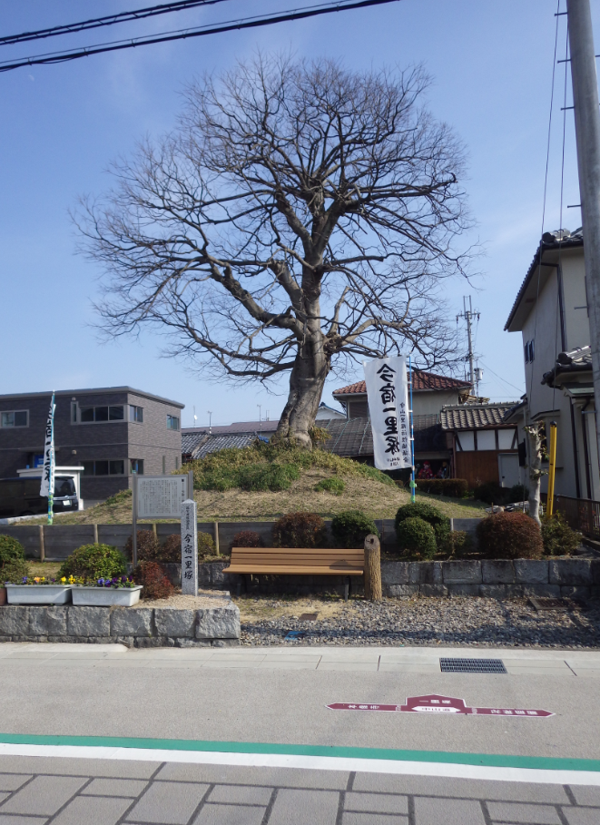 f:id:minamibiwako:20210222065221p:plain