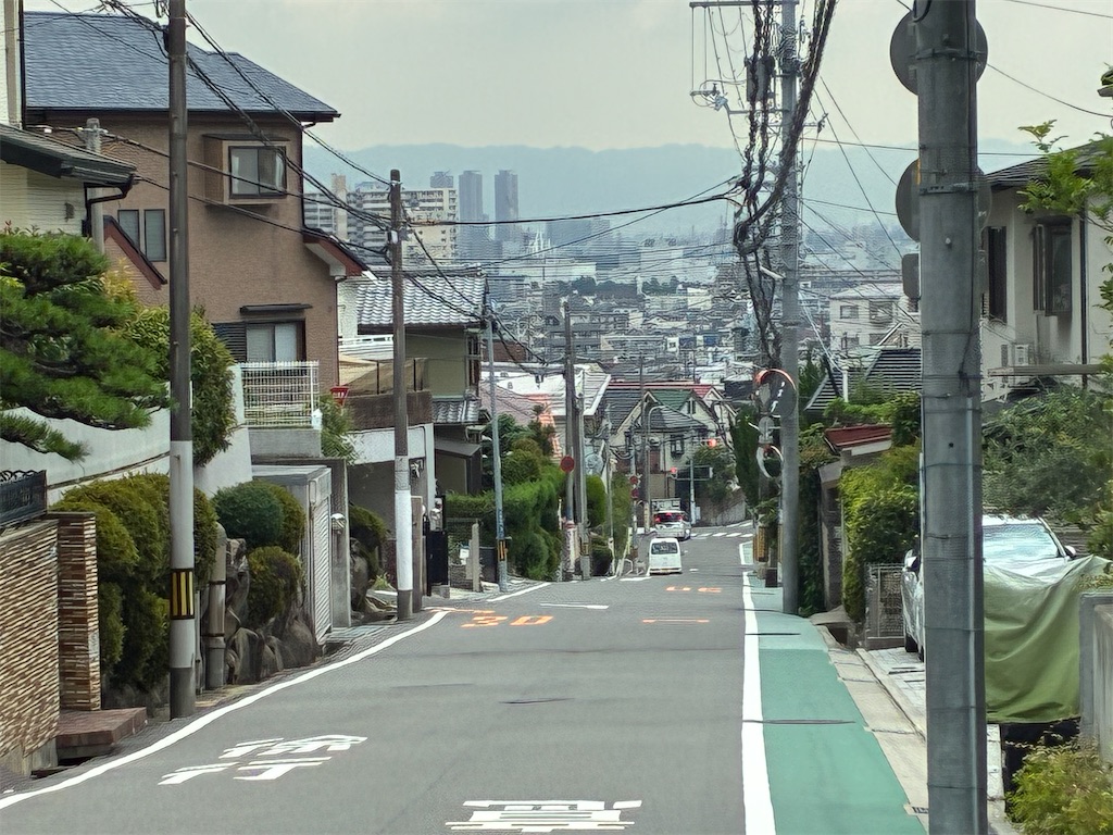 f:id:minamichankawai:20260714021321j:image f:id:minamichankawai:20260714021321j:image