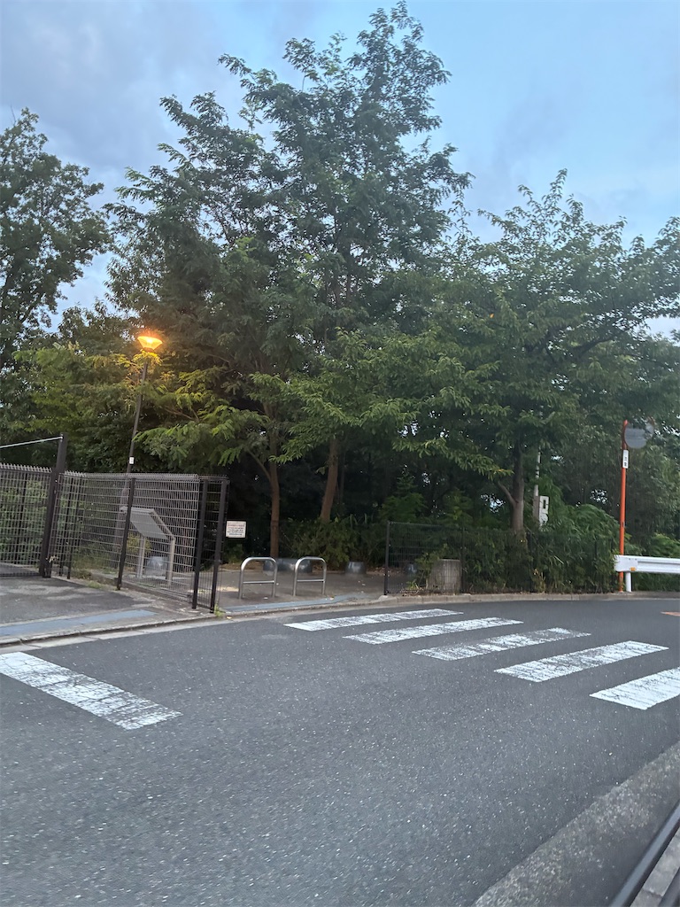 f:id:minamichankawai:20260727053641j:image