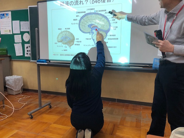 f:id:minamiedu2016:20180303082915j:plain