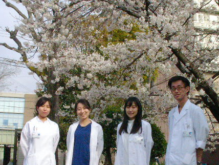 f:id:minamiedu2016:20200403161901p:plain