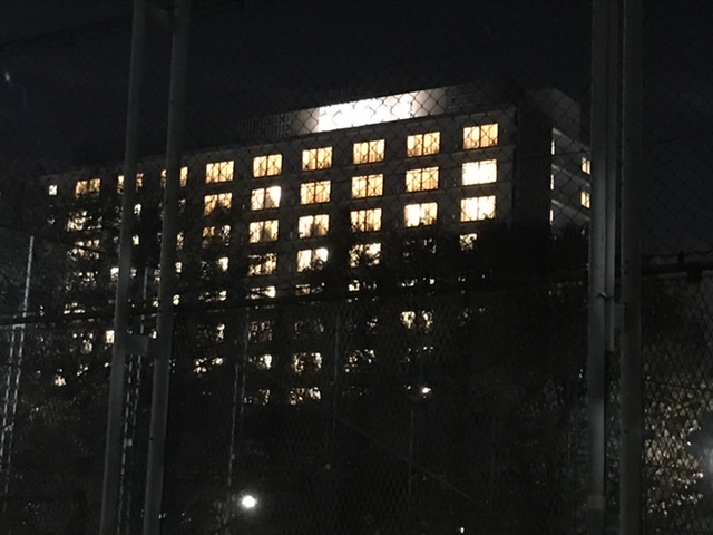 f:id:minamiedu2016:20201229165755j:plain