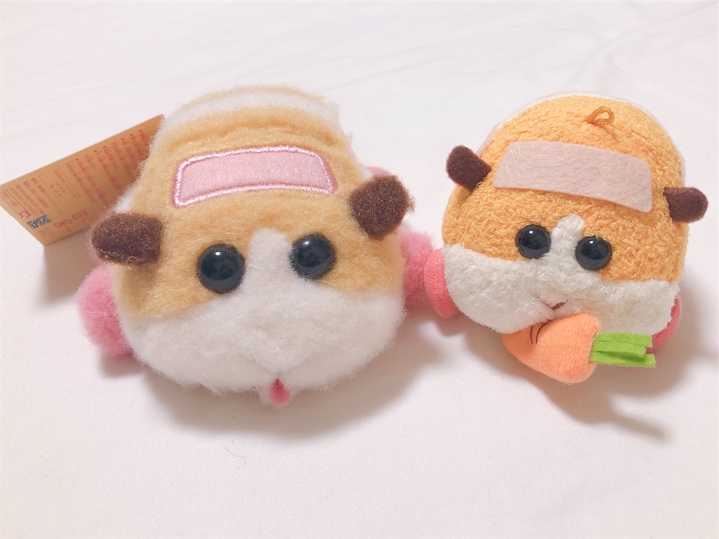 f:id:minamilktea:20210605195344j:plain
