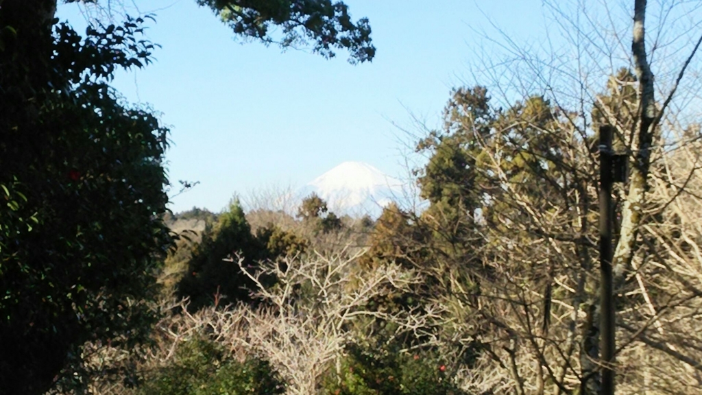 ビューポイントから見た富士山