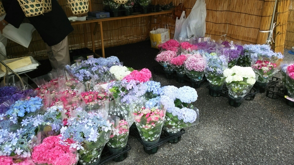 f:id:minamimachida0706:20170624225937j:plain