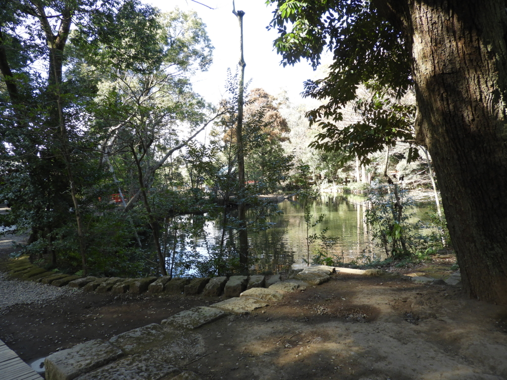 武蔵一宮氷川神社の神池