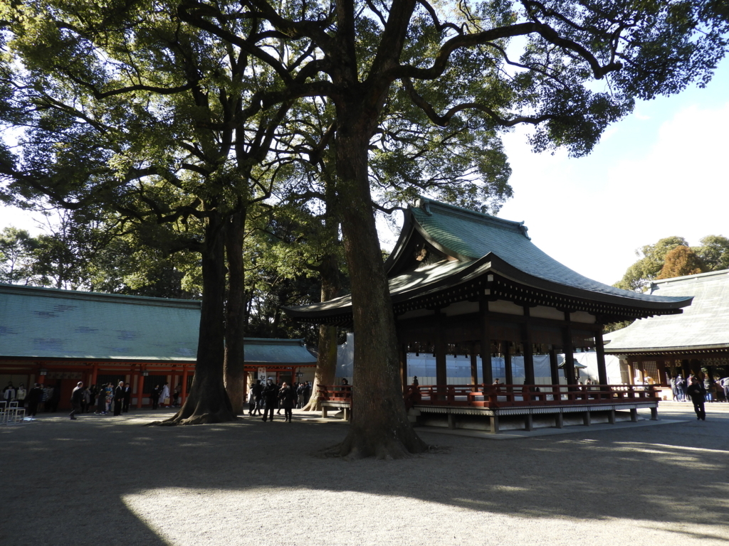 武蔵一宮氷川神社の境内の2本の巨木