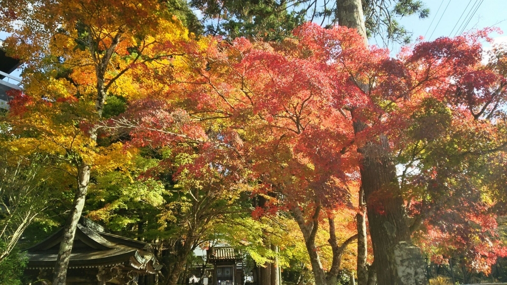長安寺の紅葉