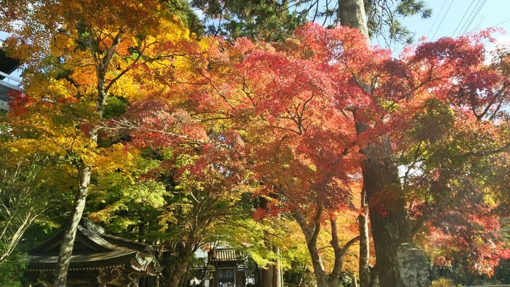 長安寺の紅葉