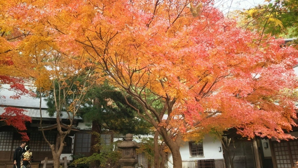 f:id:minamimachida0706:20171203171726j:plain 覚園寺の紅葉