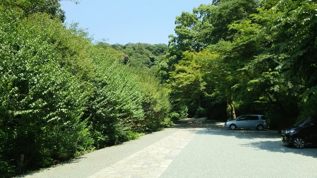 参道脇に一直線に植えられた梅