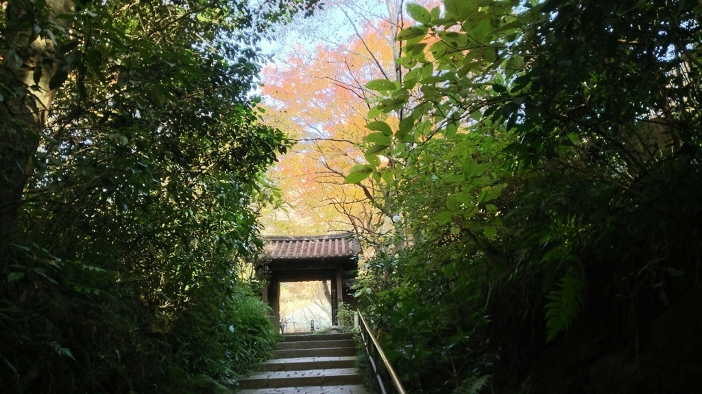 瑞泉寺山門周辺の紅葉