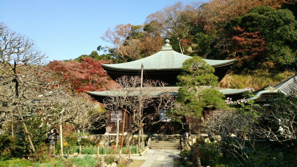 瑞泉寺本堂付近の紅葉